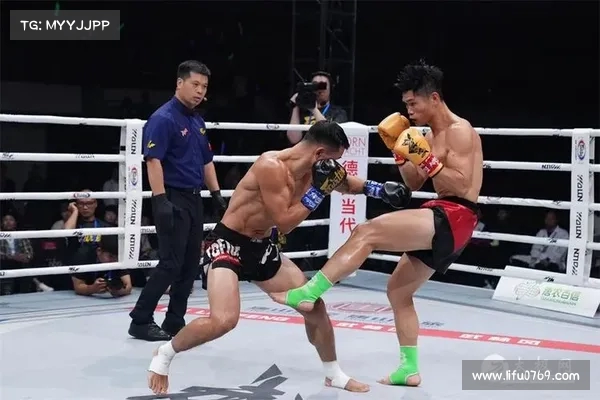 武林风冠军鏖战K-1王者演绎巅峰对决拳坛传奇 武林风冠军鏖战K-1王者演绎巅峰对决拳坛传奇